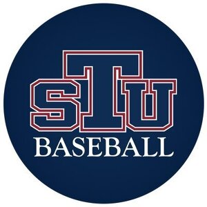 Team Page: Men's Baseball